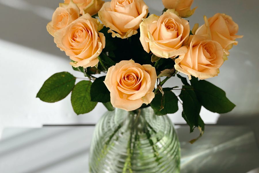 pexels-larissafarber-29157388 (1).jpg